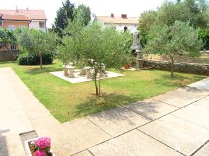 Zahrada ubytování Apartments Elvira