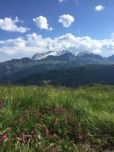 Photo de la galerie de l'établissement Ciasa Fedo, à San Cassiano