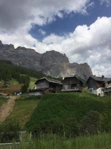 Příroda nedaleko aparthotelu