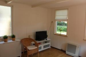 een woonkamer met een tv en een stoel en een raam bij 't Hoeske in Exloo