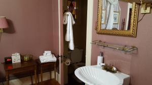 a bathroom with a sink, toilet and mirror at Holidae House Bed & Breakfast in Bethel