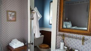 a bathroom with a toilet a sink and a mirror at Holidae House Bed & Breakfast in Bethel