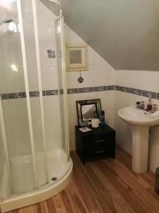 a bathroom with a shower and a sink at Assaroe House in Ballyshannon