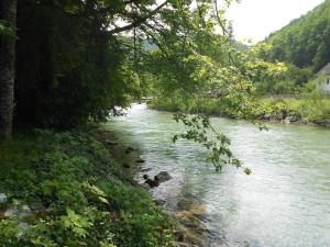 Príroda v okolí penziónu