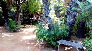 亭可馬里的住宿－阿米拉旅館，公园里长着长凳和一些植物和树木