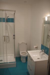 a bathroom with a shower and a toilet and a sink at Tagar'étape in Étables-sur-Mer +20 photos