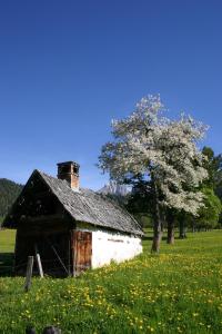 Paesaggio naturale nelle vicinanze dell'affittacamere