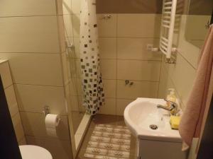 een badkamer met een douche, een wastafel en een toilet bij Pensjonat Zofia Demska in Brzeg