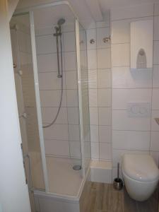 een badkamer met een douche en een toilet bij Ferienhaus im Nordschwarzwald in Pforzheim
