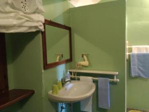 a green bathroom with a sink and a mirror at Il Glicine in Zimone