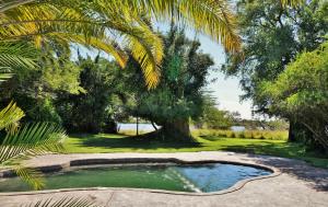 a small pool of water in a yard with trees at Thebe River Safaris in Kasane