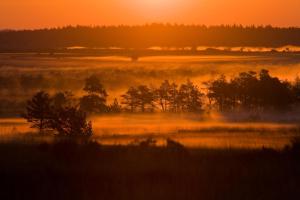 Gallery image of Hotel Ehlers in Schneverdingen