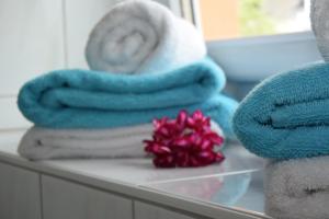 Fotografie z fotogalerie ubytování Ferienapartments Urlaub und Meer v destinaci Kühlungsborn + 37 fotografií