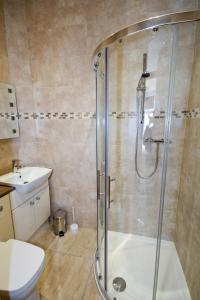 a bathroom with a shower and a toilet and a sink at Llys y Dderwen - Oak Court in Aberystwyth