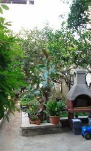 モーラ・ディ・バーリにあるIl Roseto di Molaのパティオ(木々と鉢植えの植物がある庭園)