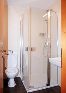 ブレゲンツにあるGasthof Lindeのバスルーム(シャワー、トイレ、洗面台付)
