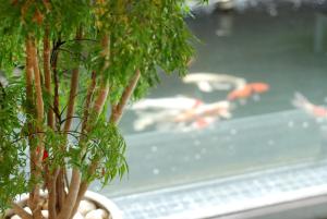 uma planta num vaso ao lado de uma piscina em Century Hotel Taoyuan em Taoyuan