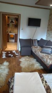 a living room with a couch and a kitchen at Apartament U Janusza in Nowy Targ