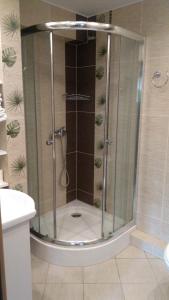 a shower with a glass door in a bathroom at Apartament U Janusza in Nowy Targ