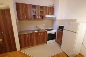 Een keuken of kitchenette bij Apartman Banja Luka