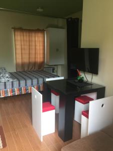 TV a/nebo společenská místnost v ubytování SD4 Studio Apartment