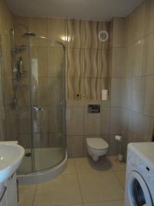 ギジツコにあるApartament Relaxのバスルーム(シャワー、トイレ、シンク付)