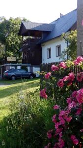 een auto geparkeerd voor een huis met bloemen bij Penzion Edelštejn in Petrovice