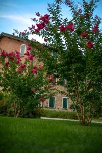 A garden outside Agriturismo Il Brugnolo
