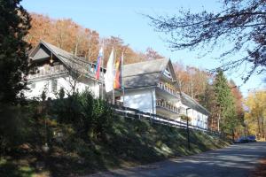 een gebouw met vlaggen aan de kant van een weg bij Pension Walddorf in Winterberg