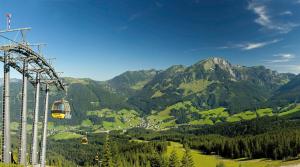 Afbeelding uit fotogalerij van Pension Elisabeth in Russbach am Pass Gschütt