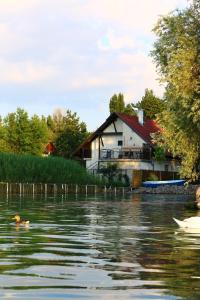 a house on the river with a duck in the water at Nefelejcs in Zamárdi