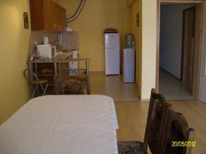 a room with a kitchen with a table and a refrigerator at Villa Irina in Kŭrdzhali
