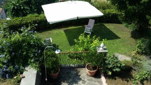 A garden outside Aia dei Limoni