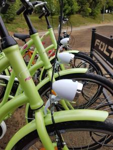 マルボルクにあるMagnolia Pokoje Gościnneの隣り合わせの緑の自転車