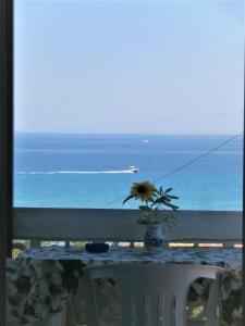 - une vue sur l'océan depuis une table fleurie dans l'établissement Billy's Amoudi Apartments, à Amoudi