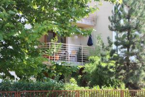 Zahrada ubytování Mandarin Wellness Apartman
