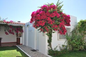 uma casa com flores cor-de-rosa ao lado dela em Apartamentos Costa em Costa da Caparica
