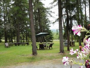 En trädgård utanför Pinecone Motel