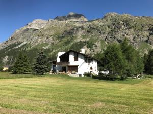Gallery image of Chesa Suot Ovas in Sils Maria