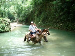 Gallery image of El Rincon de Abi in Las Terrenas