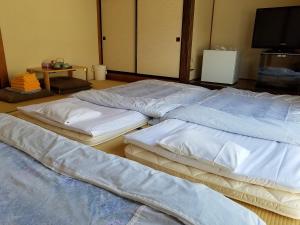 Postel nebo postele na pokoji v ubytování Ryokan Matsukaze
