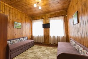 a living room with two couches and two windows at Panorama Dofinovka in Nova Dofinivka