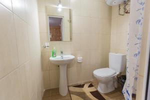 a bathroom with a toilet and a sink at Panorama Dofinovka in Nova Dofinivka +19 photos