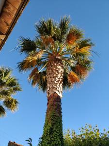 Gallery image of La palmeraie in Marseille