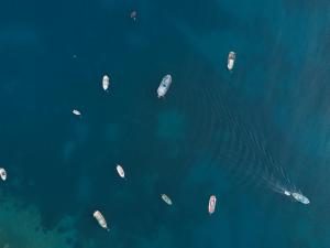 an aerial view of boats in the water at Villa Crawford in San Nicola Arcella
