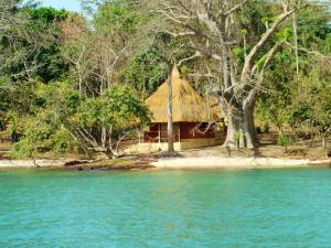 Gallery image of African Ecolodge Angurman in Bruce