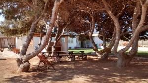 een picknicktafel en een bank onder enkele bomen bij bolinajazz in Lampedusa