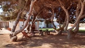 a picnic table and bench under some trees at bolinajazz in Lampedusa