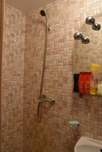 a bathroom with a shower and a sink at Bērziņi in Vitrupe +53 photos