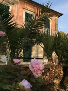 una casa con flores rosas delante de ella en Villa Carlotta, en Sarzana